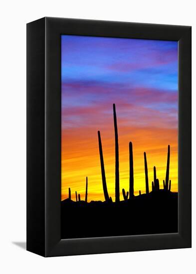 Solstice Sunset-Douglas Taylor-Framed Premier Image Canvas