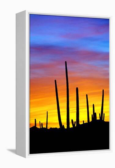 Solstice Sunset-Douglas Taylor-Framed Premier Image Canvas