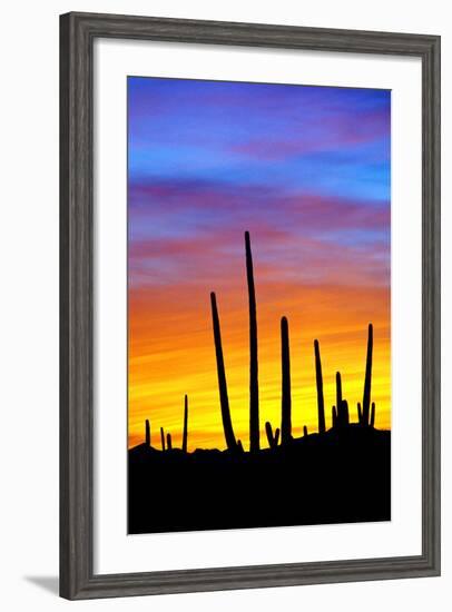 Solstice Sunset-Douglas Taylor-Framed Photographic Print