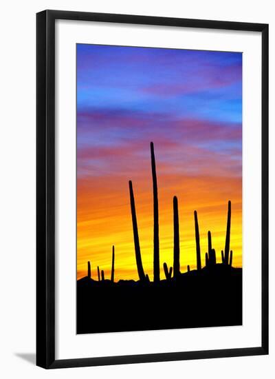 Solstice Sunset-Douglas Taylor-Framed Photographic Print