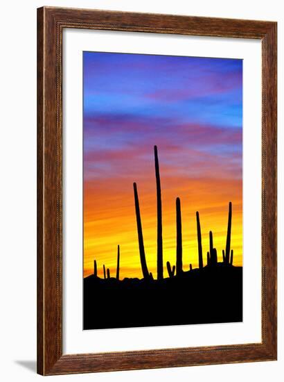 Solstice Sunset-Douglas Taylor-Framed Photographic Print