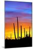 Solstice Sunset-Douglas Taylor-Mounted Photographic Print