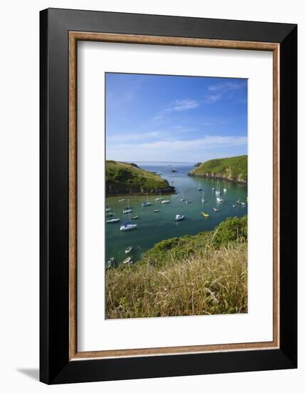 Solva Harbour, Pembrokeshire, Wales, United Kingdom, Europe-Billy Stock-Framed Photographic Print