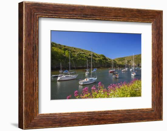 Solva Harbour, Pembrokeshire, Wales, United Kingdom-Billy Stock-Framed Photographic Print