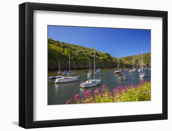 Solva Harbour, Pembrokeshire, Wales, United Kingdom-Billy Stock-Framed Photographic Print