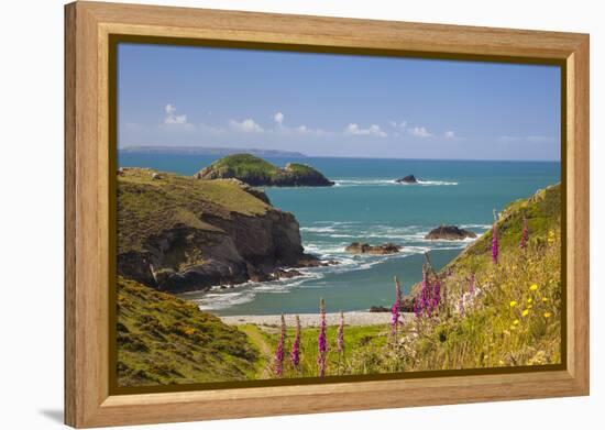 Solva, Pembrokeshire, Wales, United Kingdom-Billy Stock-Framed Premier Image Canvas