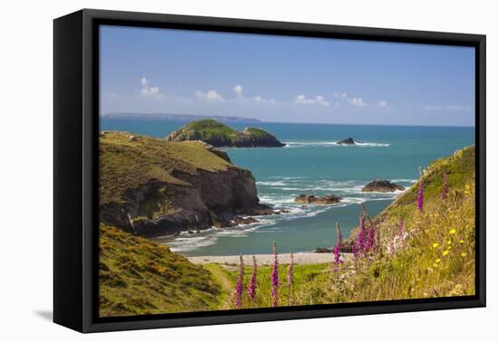 Solva, Pembrokeshire, Wales, United Kingdom-Billy Stock-Framed Premier Image Canvas