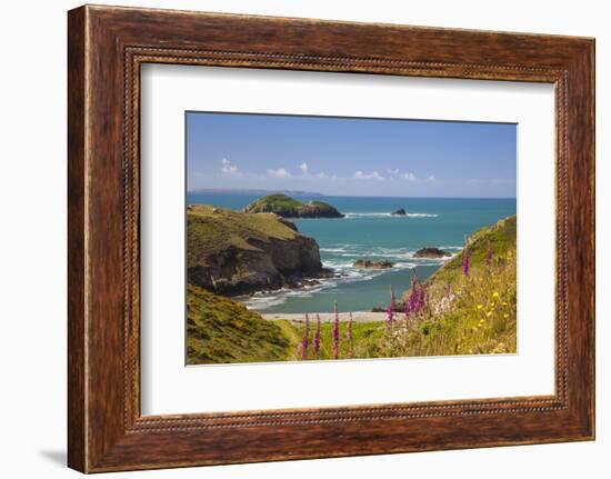 Solva, Pembrokeshire, Wales, United Kingdom-Billy Stock-Framed Photographic Print