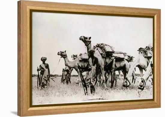 Somali Troops-null-Framed Premier Image Canvas