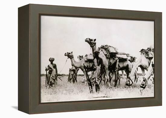 Somali Troops-null-Framed Premier Image Canvas