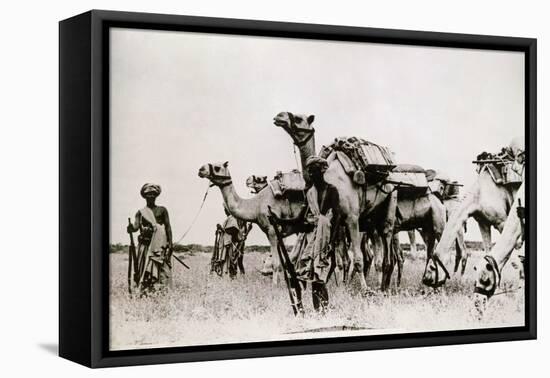 Somali Troops-null-Framed Premier Image Canvas