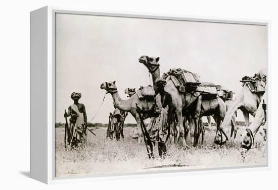 Somali Troops-null-Framed Premier Image Canvas