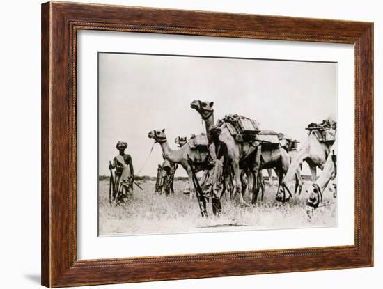 Somali Troops-null-Framed Photographic Print