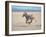 Somali Wild Ass Running Across Parched Soil in Danakil Depression, Near Sardo Village-Carlo Bavagnoli-Framed Photographic Print