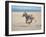 Somali Wild Ass Running Across Parched Soil in Danakil Depression, Near Sardo Village-Carlo Bavagnoli-Framed Photographic Print