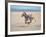 Somali Wild Ass Running Across Parched Soil in Danakil Depression, Near Sardo Village-Carlo Bavagnoli-Framed Photographic Print