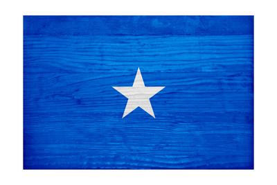 Somalia Flag Design With Wood Patterning Flags Of The World Series Art Print Philippe Hugonnard Art Com