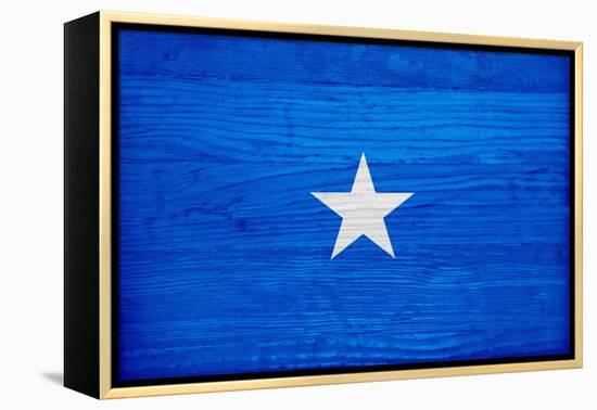 Somalia Flag Design with Wood Patterning - Flags of the World Series-Philippe Hugonnard-Framed Stretched Canvas