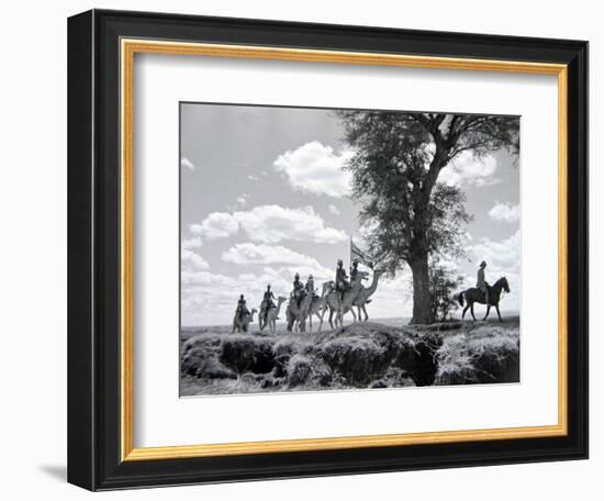 Somaliland Camel Corps in Formation-null-Framed Photographic Print