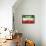 Somaliland Flag-daboost-Framed Stretched Canvas displayed on a wall