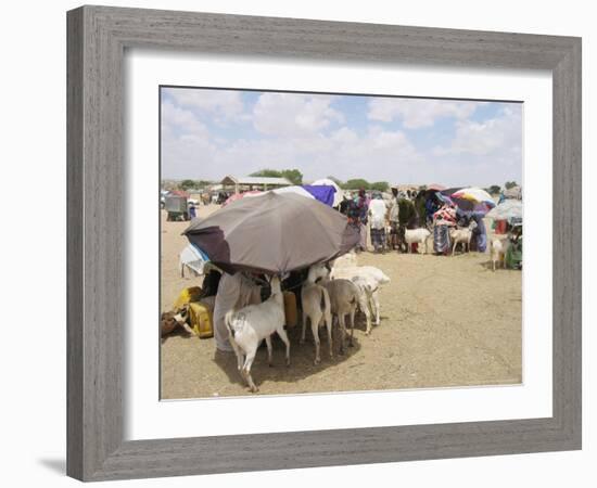 Somaliland Women with Their Goats Protect Themselves from Hot Sun with Umbrellas-Sayyid Azim-Framed Photographic Print