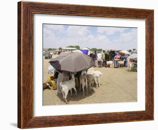 Somaliland Women with Their Goats Protect Themselves from Hot Sun with Umbrellas-Sayyid Azim-Framed Photographic Print