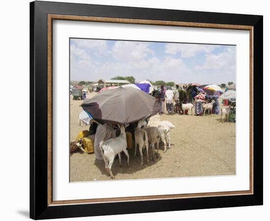 Somaliland Women with Their Goats Protect Themselves from Hot Sun with Umbrellas-Sayyid Azim-Framed Photographic Print