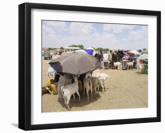 Somaliland Women with Their Goats Protect Themselves from Hot Sun with Umbrellas-Sayyid Azim-Framed Photographic Print