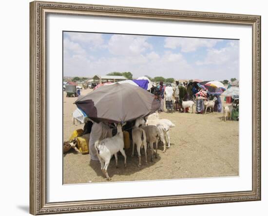 Somaliland Women with Their Goats Protect Themselves from Hot Sun with Umbrellas-Sayyid Azim-Framed Photographic Print