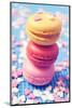 Some Appetizing Macarons of Different Flavors-nito-Mounted Photographic Print