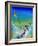 Some Enchanted Evening-Cindy Thornton-Framed Art Print