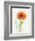 Some Favorites II-Shirley Novak-Framed Premium Giclee Print