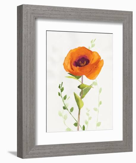 Some Favorites II-Shirley Novak-Framed Premium Giclee Print