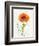 Some Favorites II-Shirley Novak-Framed Premium Giclee Print