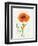 Some Favorites II-Shirley Novak-Framed Premium Giclee Print