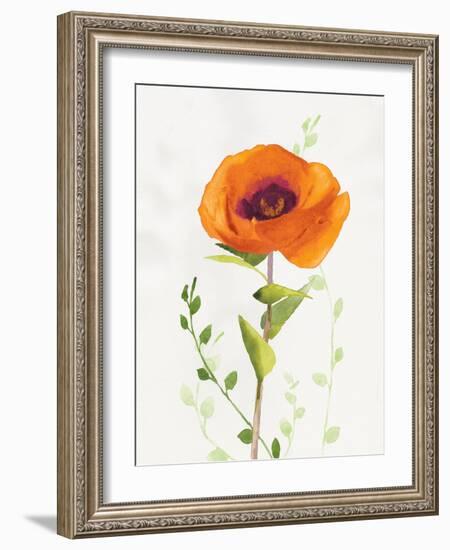 Some Favorites II-Shirley Novak-Framed Art Print