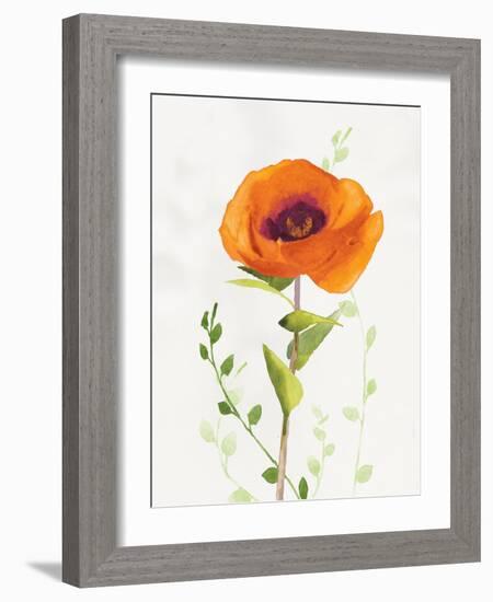 Some Favorites II-Shirley Novak-Framed Art Print