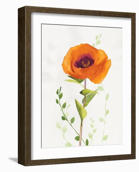 Some Favorites II-Shirley Novak-Framed Art Print