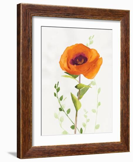 Some Favorites II-Shirley Novak-Framed Art Print