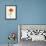 Some Favorites II-Shirley Novak-Framed Art Print displayed on a wall
