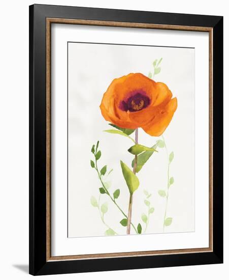 Some Favorites II-Shirley Novak-Framed Art Print