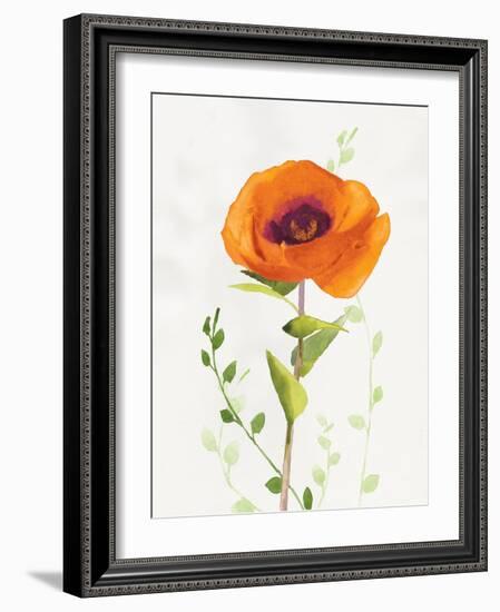 Some Favorites II-Shirley Novak-Framed Art Print