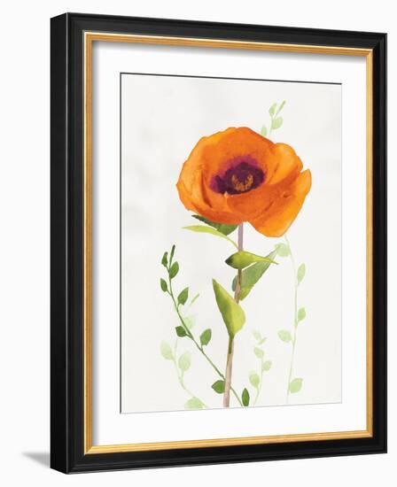 Some Favorites II-Shirley Novak-Framed Art Print