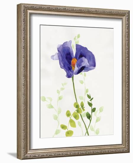 Some Favorites III-Shirley Novak-Framed Art Print