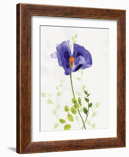 Some Favorites III-Shirley Novak-Framed Art Print