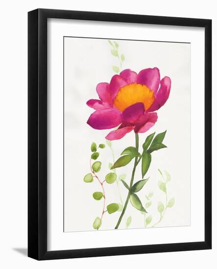 Some Favorites IV-Shirley Novak-Framed Art Print