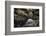 Some Harbor Seals Resting on the Rocks of Resurrection Bay-Sheila Haddad-Framed Photographic Print