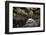 Some Harbor Seals Resting on the Rocks of Resurrection Bay-Sheila Haddad-Framed Photographic Print