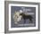 Some Heroes Wear Cammies, Others Have Fur-Dog is Good-Framed Art Print