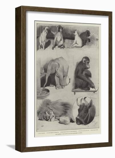 Some Members of the Barnum and Bailey Menagerie at Olympia-Cecil Aldin-Framed Giclee Print